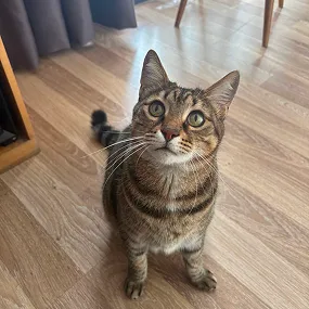 dorukpalas hotel review